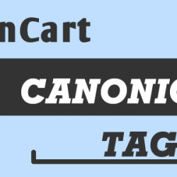 OpenCart Canonical URLs SEO extension