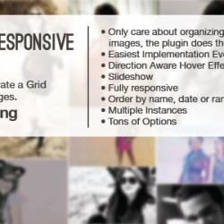 Auto Grid Responsive Gallery