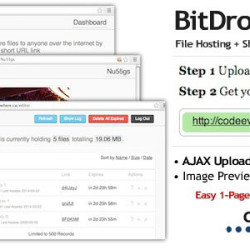 BitDrop - File Hosting with Short URL Link