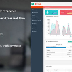 iBilling - Accounting and Billing Software