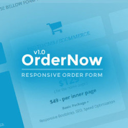 OrderNow - Responsive Order Form