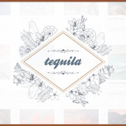 Tequila - File Hosting Script