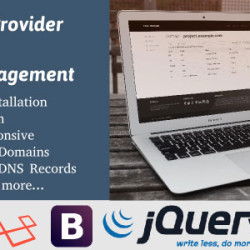 Domain Provider & DNS Management