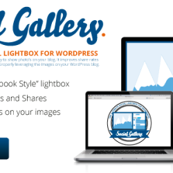 Social Gallery WordPress Photo Viewer Plugin v4.5