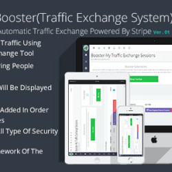 Booster Traffic Exchange System