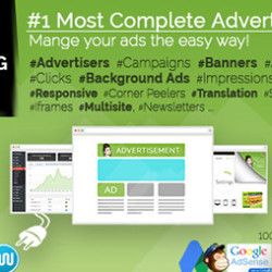 WP PRO Advertising System v4.6.18 - All In One Ad Manager