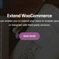 206 WooCommerce Extensions Pack + Updates