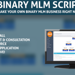 Web Based Binary MLM System