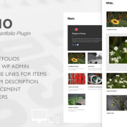 Colio v2.3.2 - Responsive Portfolio Wordpress Plugin