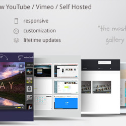 Video Gallery Wordpress Plugin /w YouTube, Vimeo v9.69