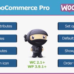 Sorting WooCommerce Pro v4.0.1