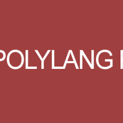 Polylang Pro v3.0.5 - Multilingual Plugin