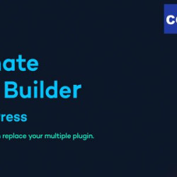 Bit Form Pro v1.4.10 - Ultimate Form Builder In WordPress