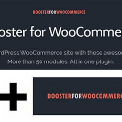 Booster Plus for WooCommerce v5.5.9