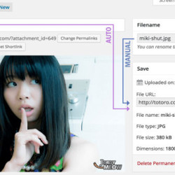 Media File Renamer Pro v5.4.0