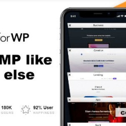 AMP for WP Pro + Extensions Membership Bundle 1.0.78