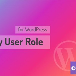 Pages by User Role for WordPress v1.7.1.10456