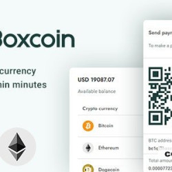 Boxcoin v1.2.0 - Crypto Payment Script - nulled