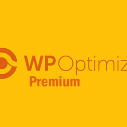 WP-Optimize Premium v3.2.17