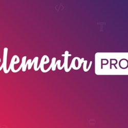 Elementor Pro v3.15.1