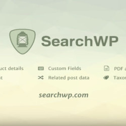 SearchWP v4.3.13 - WordPress search plugin