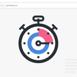 Perfmatters v2.2.4 - Lightweight Performance Plugin