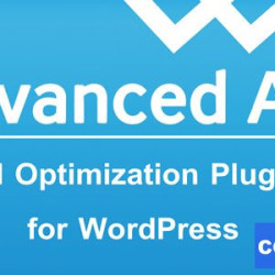 Advanced Ads Pro 2.26.0 + Addons