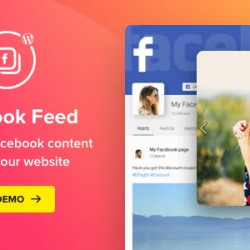 WordPress Facebook Plugin v1.12.0 - Facebook Feed Widget