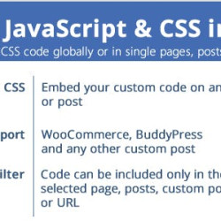 Custom JavaScript & CSS in Pages v2.9