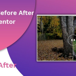 Before After Image Slider Elementor Addon v1.0