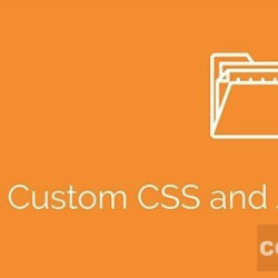 Simple Custom CSS and JS PRO v4.21.4