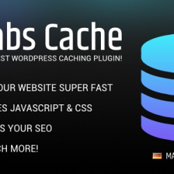 Borlabs Cache v1.6.3 - WordPress Caching Plugin