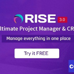 RISE v3.2 - Ultimate Project Manager & CRM - nulled