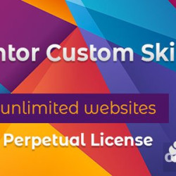 Elementor Custom Skin Pro v3.2.4