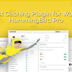 Hummingbird Pro v3.9.1 - WordPress Plugin