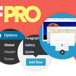 Advanced Custom Fields Pro v6.3.5