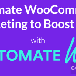 AutomateWoo v6.0.31