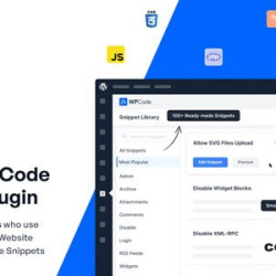 WPCode Pro v2.2.1 - The Best WordPress Code Snippets Plugin