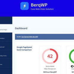 BerqWP v1.9.2 - Automated WordPress Plugin