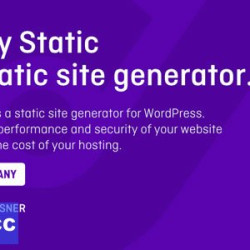 Simply Static Pro v1.6.0